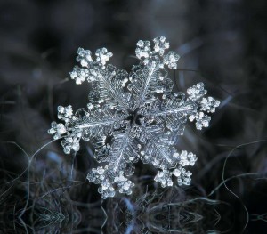 cristalli-di-neve-foto